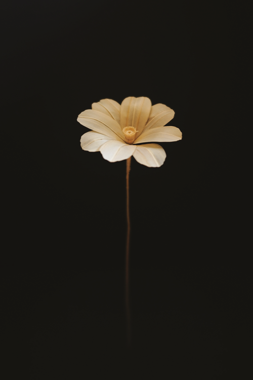 父が家を建てるときに出る鉋屑で制作したコスモス