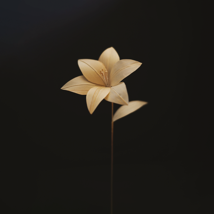 父が家を建てるときに出る鉋屑で制作したゆり