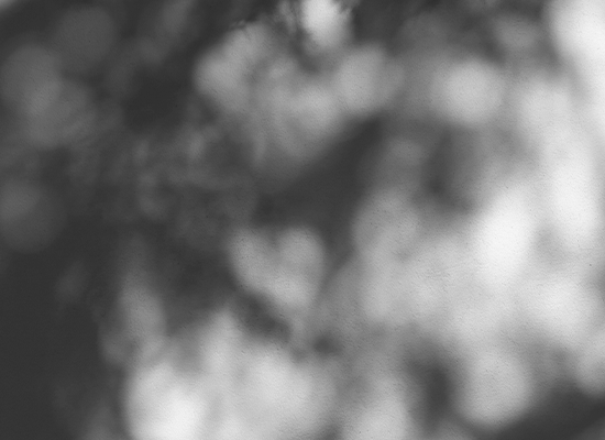 壁に映った影（モノクロ）