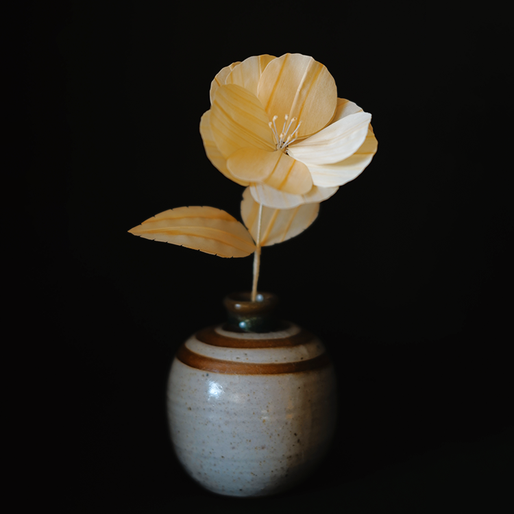 花瓶に支えられている寒椿