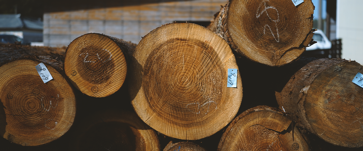 キクズノハナの作品集