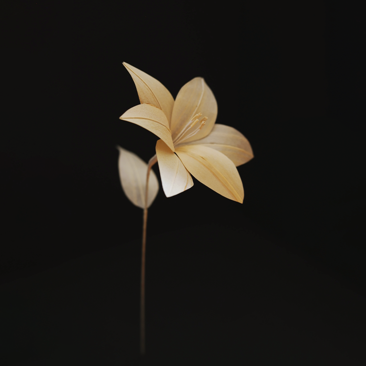 斜め下からのゆり